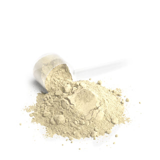 Performance Whey Protein Blend - Vanilla