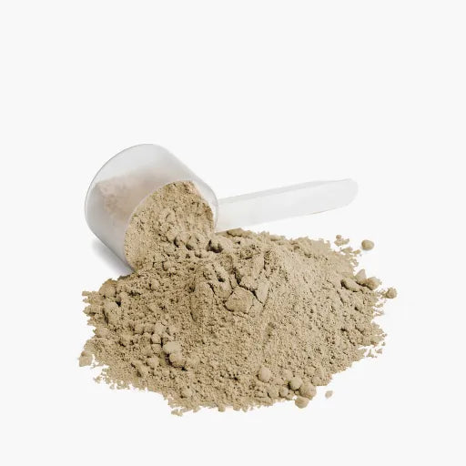 Plant Protein - Vanilla